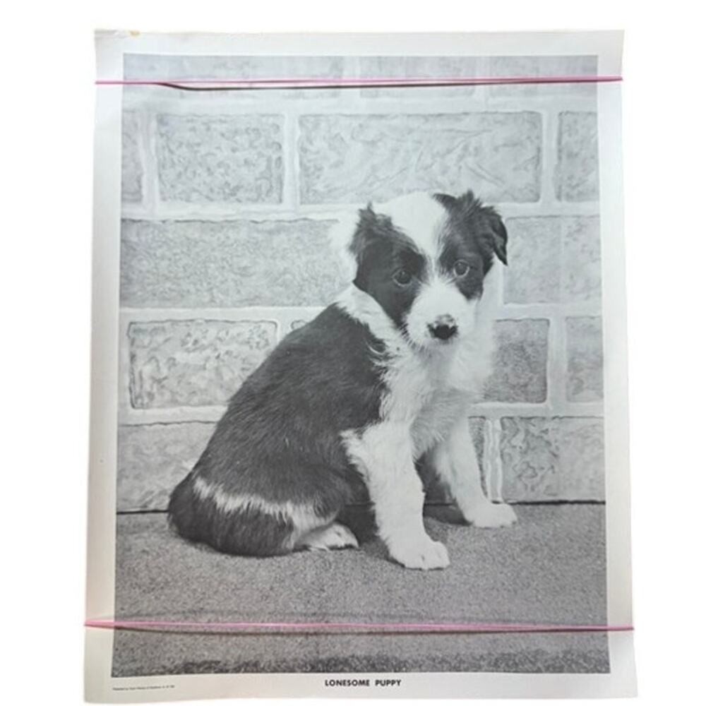 Lonesome Pup Black & White Vintage Art Print – 20" x 16" Dog Poster